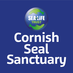 Cornish Seal Sanctuary