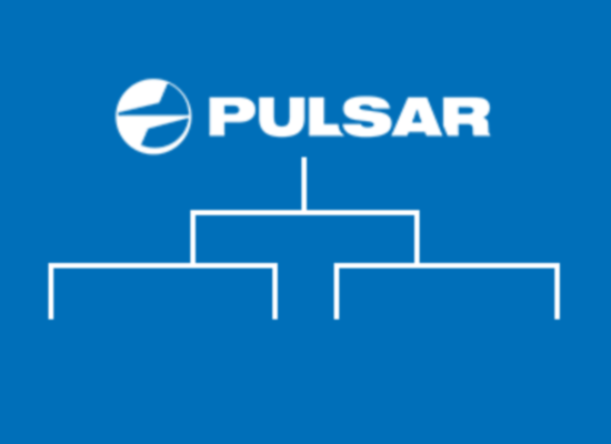 The Pulsar Family Tree